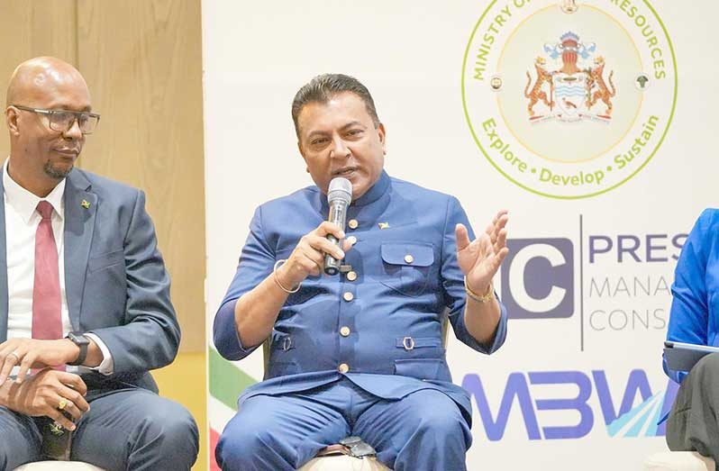 Next phase of Guyana's growth will driven on broader economic ...