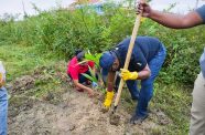 His Excellency the President, Dr Irfaan Ali joined hundreds of citizens across the country in a national clean-up exercise this morning. 
The President, who spearheaded the beautification exercise, began just after sunrise, leading volunteers along the Schoonord to Crane Highway, Region Three (Essequibo Islands-West Demerara), to clean up and plant 100 palm trees on both sides of the thoroughfare.