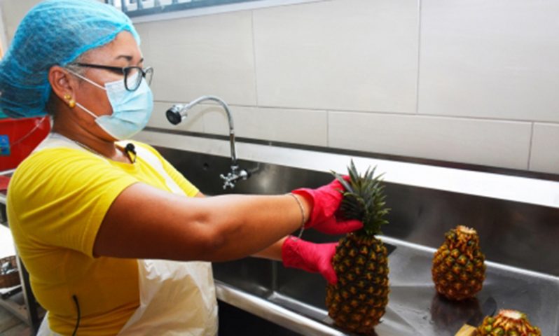 The initiative by FAO and its partners will help multiply by 10 the quantity of pineapples produced by 2030 and establish new and modern processing facilities to reach wider markets (FAO photos)