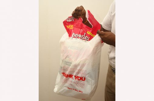 Single-use plastic bags are utilised regularly on a daily basis for various reasons