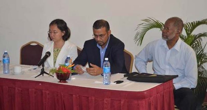 Minister of Natural Resources and the Environment, Mr Robert Persaud (centre), flanked by UNDP Deputy Resident Representative, Ms Chisa Mikami (left) and GGDMA representative, Mr William Woolford during the workshop