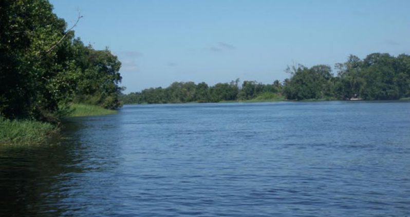‘SERENE’: The beautiful Pomeroon river that has great potential for tourism