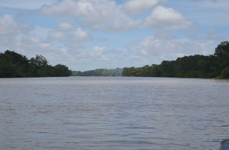 A section of the expansive Pomeroon River