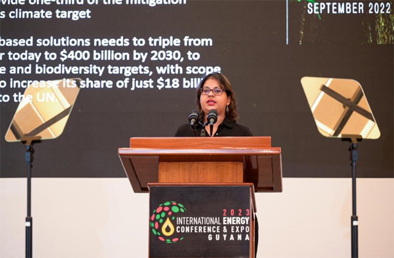 Senior Director within the Ministry of Natural Resources with focus on Climate and REDD+, Pradeepa Bholanath