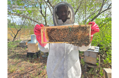 Beekeeper Treavon Prass with one of his hives