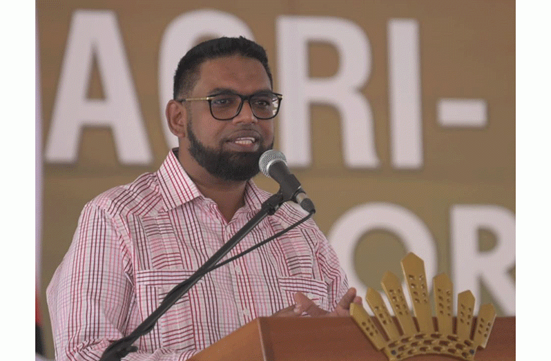 President Dr. Irfaan Ali (Delano Williams Photos)