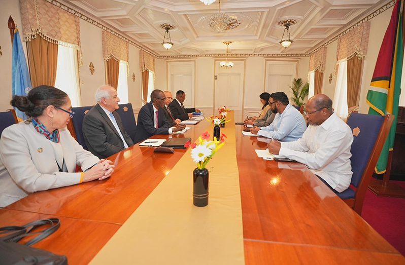 President Dr Irfaan Ali engaged in a meeting with the representatives of the Committee on the Exercise of the Inalienable Rights of Palestinian People at State House on Wednesday (Office of the President photo)