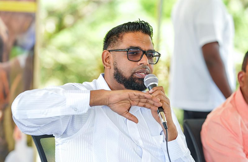 President Dr. Irfaan Ali