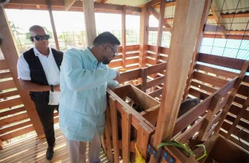 As construction advances on the modern $600 million abattoir at Onverwagt, West Coast Berbice, Region Five, President Dr Mohamed Irfaan Ali conducted a thorough inspection of the state-of-the-art facility, on Wednesday