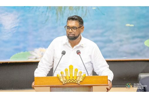 President Dr. Irfaan Ali
