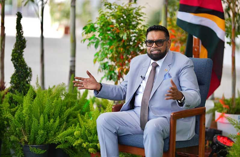 President, Dr Irfaan Ali