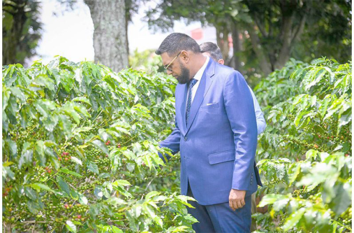 President Dr Irfaan Ali
