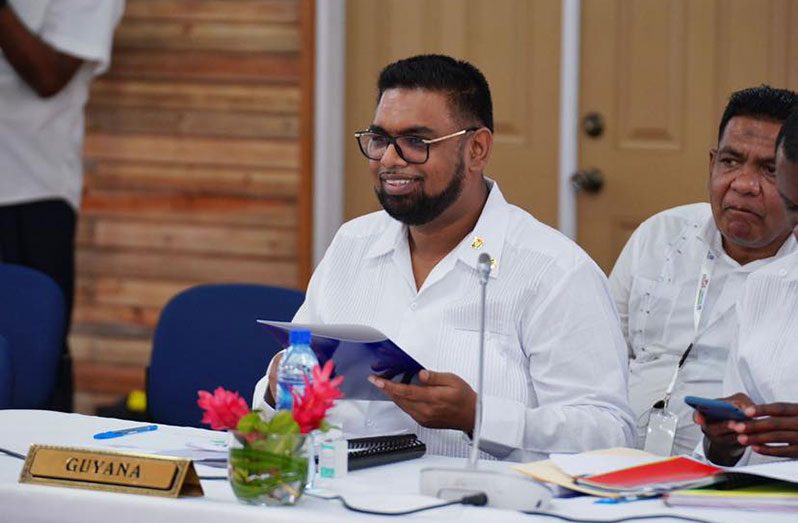 President Dr Irfaan Ali
