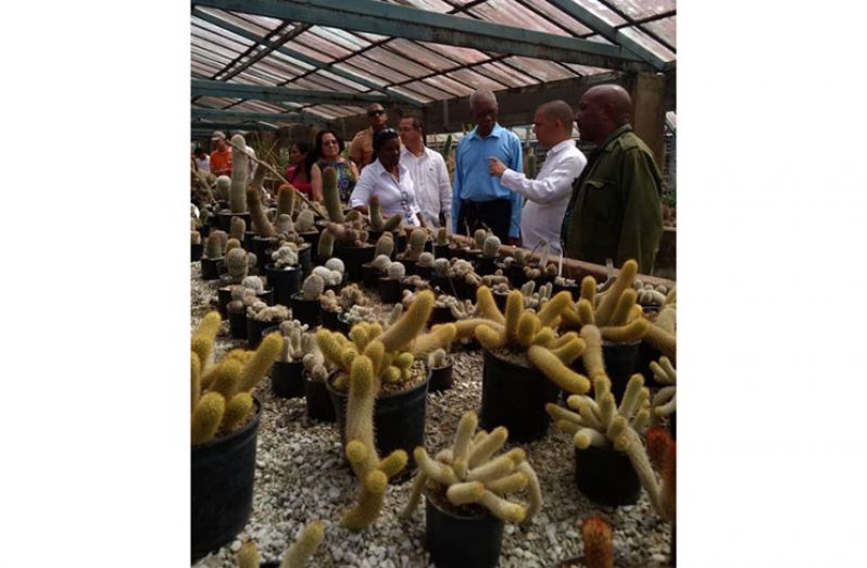 President Granger and First Lady, Sandra Granger, at the Botanic Garden of Cuba