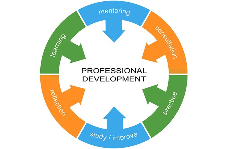 Professional-development1