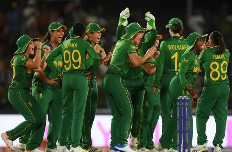 South Africa players celebrate following their victory over New Zealand