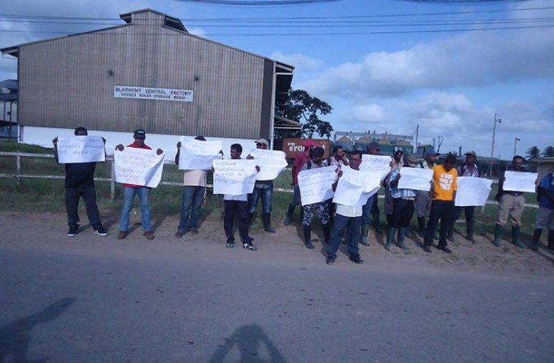 Workers protesting in front of the Blairmont Sugar Factory