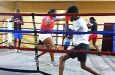 The young  pugilists going through their paces at the Andrew ‘Sixhead’ Lewis Gym in Albouystown