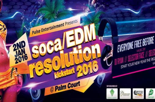 PulseEntertainment2016Party