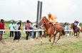 Horse Racing action set for Demerara Turf Club