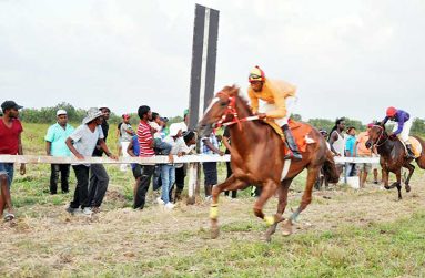 Horse Racing action set for Demerara Turf Club