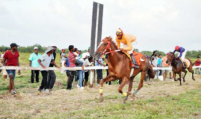 Horse Racing action set for Demerara Turf Club