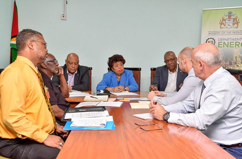 RUSAL’s Russian executives (from right), Company Representative in Guyana, Vladimir Permyakov and Director of Alumina and Bauxite Department, Sergey Kostyuk, meet with Minister of State Joseph Harmon, Minister of Social Protection Amna Ally, Minister of Natural Resources, Raphael Trotman and others