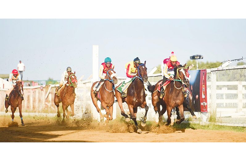 Eight races are on the cards for Rising Sun today