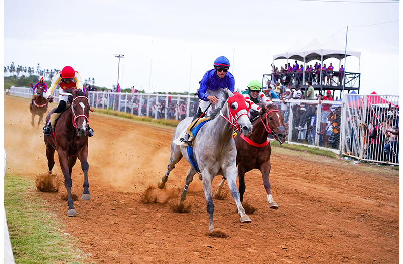 Dataman, Anthem King and Olympic Kremlin could be in action again on May 31