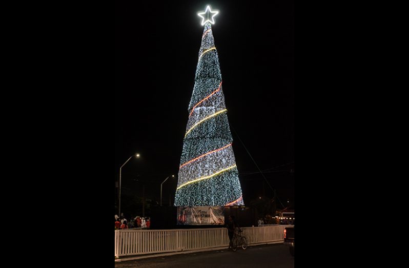 The 60-foot Christmas tree