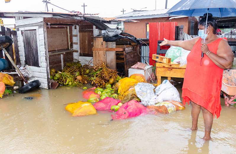 Mala Sadick, a coconut vendor and resident of Mon Repos, East Coast Demerara, said she has lost approximately $200,000 worth in coconuts due to the heavy rainfall on Monday (Delano Williams photo)