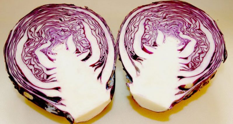 Red-Cabbage-also-makes-you-smarter