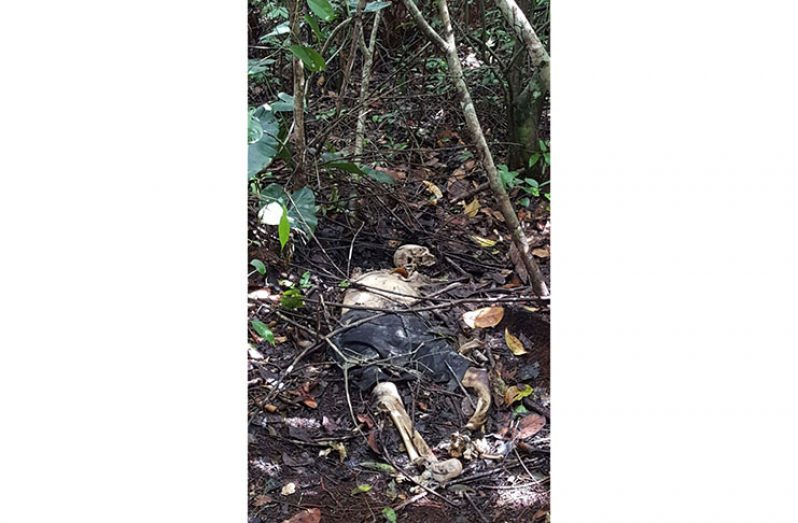 The skeletal remains discovered on the Soesdyke/Linden Highway