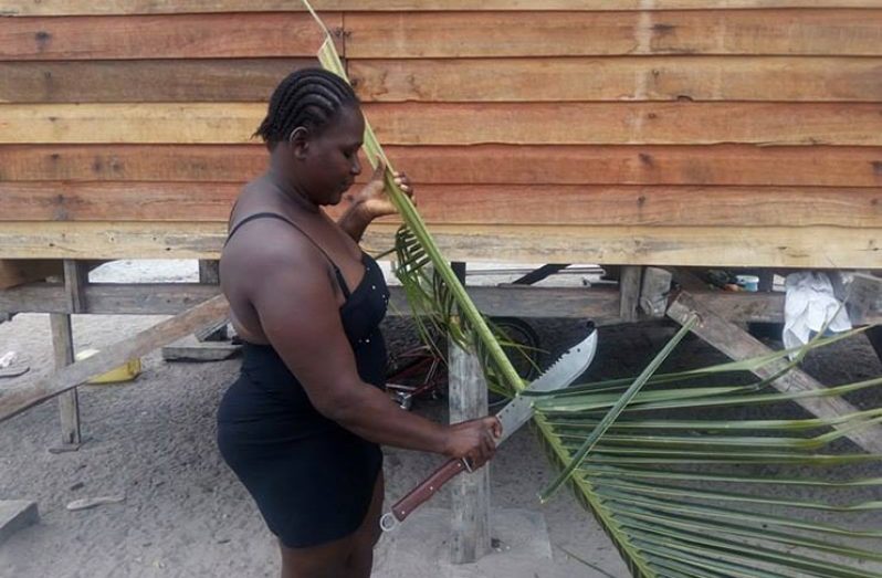 Single-parent Rhonda Blair stripping the fronds off a coconut branch preparatory to making a “pointer broom”