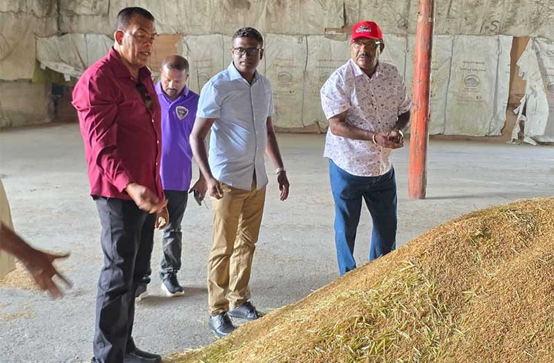 Director-General of the Ministry of Agriculture Madanlall Ramraj, along with Minister within the Ministry of Local Government Anand Persaud inside the rice mill