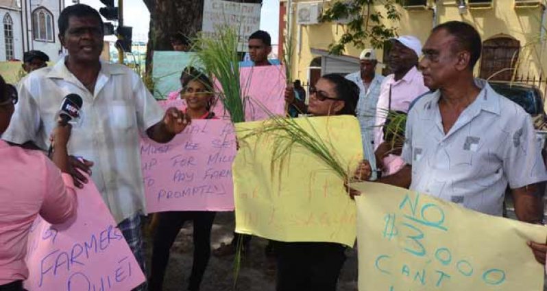 Rice farmers protesting outside Public Building for better prices