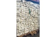 A portion of the rice delivered to Jamaica in support of Hurricane Melissa relief efforts