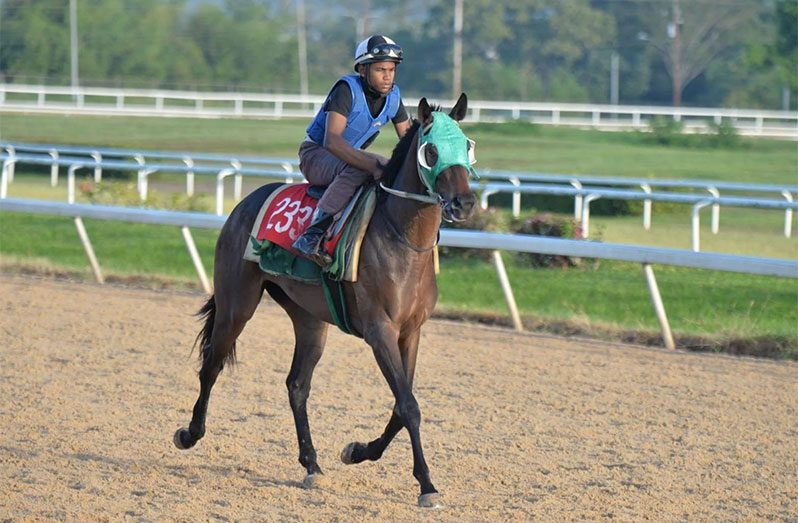 Jockey Rico Hernandez