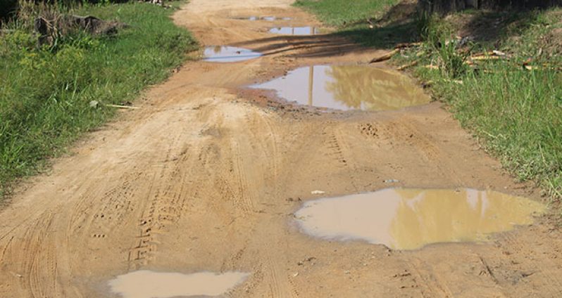 The road at Maria Johanna during the dry season