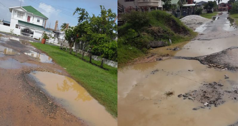 The state of the roads in Non Pareil, East Coast Demerara.