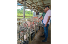 Rondel Cameron on the ground, in the field with swine farmers