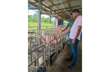 Rondel Cameron on the ground, in the field with swine farmers