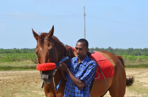 Ross handles “Big Man Boss”, a thoroughbred imported from Jamaica at the Rising Sun Turf Club last weekend