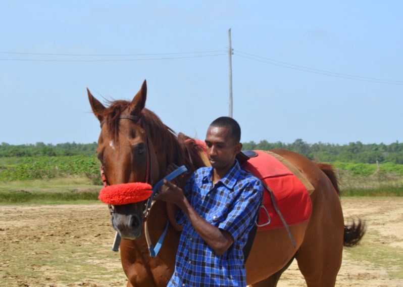 Ross handles “Big Man Boss”, a thoroughbred imported from Jamaica at the Rising Sun Turf Club last weekend