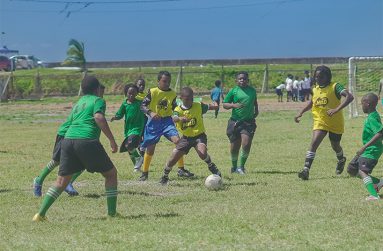 Round three action is set for the Ministry of Education’s Ground