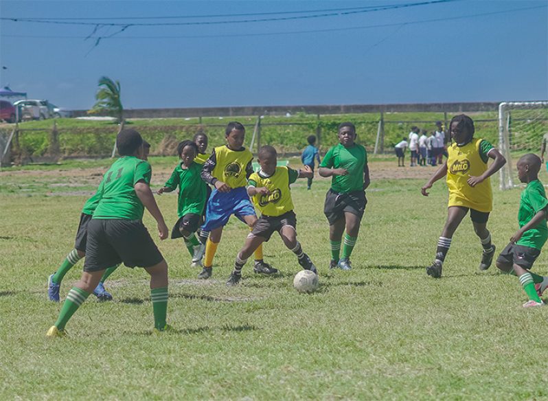 Round three action is set for the Ministry of Education’s Ground