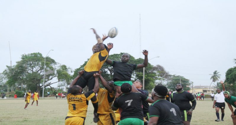 Rugby action in the National Park