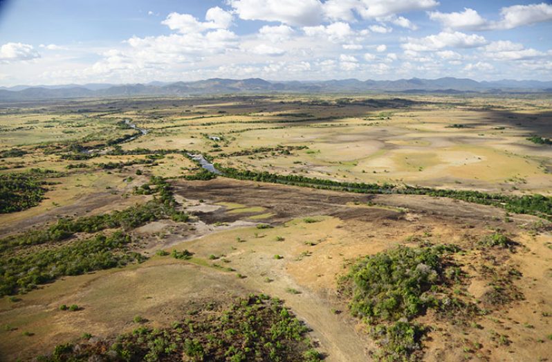 The Rupununi Savannah Guyana S Agricultural Frontier Guyana Chronicle