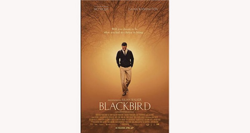 The poster for ‘Blackbird’
