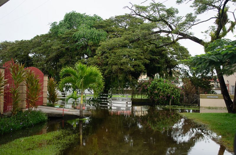 The position yesterday on Lama Avenue, Bel Air Park (Photos by Samuel Maughn)